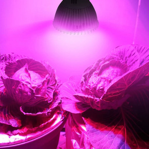 Luces LED <span class=keywords><strong>para</strong></span> cultivo <span class=keywords><strong>de</strong></span> <span class=keywords><strong>plantas</strong></span> <span class=keywords><strong>de</strong></span> 220V y 110V E27 E14 GU10, Bombilla <span class=keywords><strong>para</strong></span> lámpara <span class=keywords><strong>de</strong></span> cultivo, lámparas <span class=keywords><strong>de</strong></span> crecimiento <span class=keywords><strong>de</strong></span> 28 leds, Phytolamp <span class=keywords><strong>de</strong></span> espectro completo <span class=keywords><strong>para</strong></span> jardín interior - Product Image 4