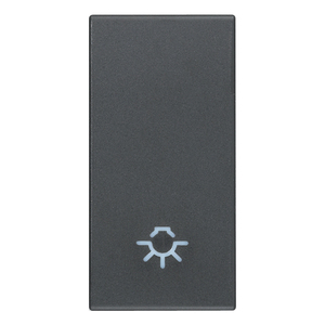 Grey Wall <b>Switch</b> With Light Symbol 1M Length 2.2 In 4.42 In Height 0.6 In Thickness - Product Image 1