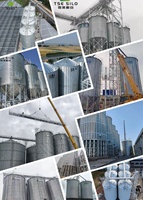 Silo a Grana Verticale con Fondo a Tramoggia per Stoccaggio Materie Prime, Silo Agricolo per Arachidi e Cereali