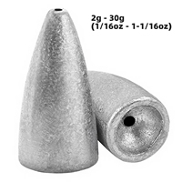 Plombs de pêche en plomb pour Texas Rig, leurres de pêche au bar, matériel de pêche 2g-30g
