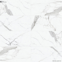 Carreaux de sol en marbre de Carrare de couleur blanche, carreaux en porcelaine, carreaux en céramique, prix Liban 600X600 600X1200