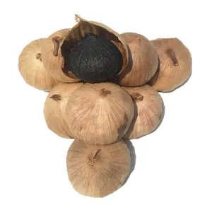 Black Garlic 500g Can Pack Solo Head Black Garlic Export