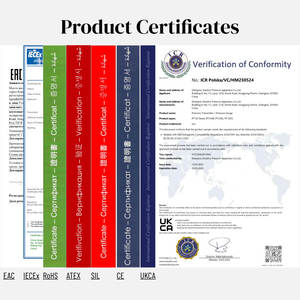 Trasmettitore di Pressione Flessibile PT124B-122 Riempito di Olio di Silicone, Tipo Sanitario, Uscita 4-20mA, Range 0-150MPa, Acciaio Inox 304/316L - Product Image 5