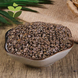 Wangjiangnanzi, gran volumen, venta al por mayor, descuento, semillas de puerta para matar serpientes procesadas secas, Yunnan, espalda fría, especias individuales, hierbas - Product Image 1