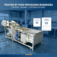 Industriële wasmachine voor fruit, groenten, champignons en aardappelen