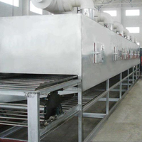 Industriële Enkellaags Gaas Transportband Mechanische Droger Voor Alge Zeewier Cassave Fruit Ontwatering Groentevoer