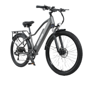 Vélo électrique de montagne personnalisé de haute qualité 800W/48V/20AH avec moteur à moyeu arrière, nouveau design, directement du fabricant chinois - Product Image 1