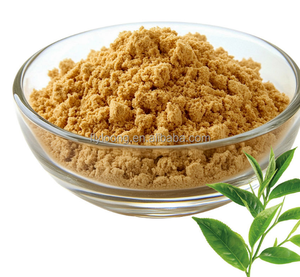 Extrait de thé vert séché de haute qualité sans caféine, 95% de polyphénols, 75% de catéchines, 45% d'<span class=keywords><strong>EGCG</strong></span>, additifs alimentaires naturels biologiques - Product Image 4