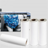 Venta caliente 2021 vinilo imprimible brillante calcomanía plotter rollos de papel HTV vinilo de transferencia de calor