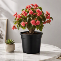 Pots de fleurs en plastique PP noir de 1 à 25 gallons pour pépinières, fabriqués par des usines OEM/ODM, durables, légers, avec trou de drainage pour jardin intérieur/extérieur