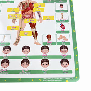 Affiche sonore de corps électronique <span class=keywords><strong>arabe</strong></span>-anglais bilingue tableau mural interactif <span class=keywords><strong>bases</strong></span> jouets éducatifs pour enfants - Product Image 5