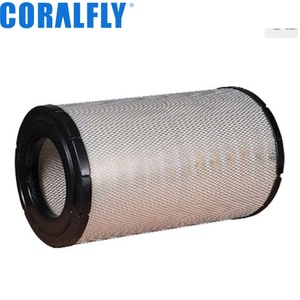 Filtro de Aire para Motor Diésel de Camión AF979  CA1596  42253  LAF9545  PA2521  P181028 - Product Image 4