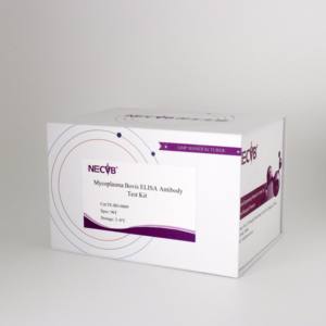 Mycobobovis antikor ELISA seti | 96T | CE sertifikalı | Sığır Serum testi - Product Image 6