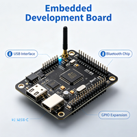 Placa de Desarrollo Integrada Personalizada con Chip BLE, Interfaz de Descarga USB, Controlador Inalámbrico IoT, Fabricante de PCBA