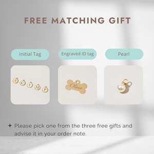 Rose poussiéreux avec ID personnalisé, ensemble de laisse Veet, mignon pour petit chien, harnais pour chien design - Product Image 3