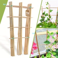 Piquets en treillis en U en bambou pour plantes-Support de jardin naturel pour fleurs grimpantes, vignes, légumes (10/20/50 paquets)