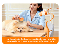 Pengering rambut anjing leher gantung daya tinggi artefak peniup angin anjing kecil dan besar khusus dengan pengendali jarak jauh