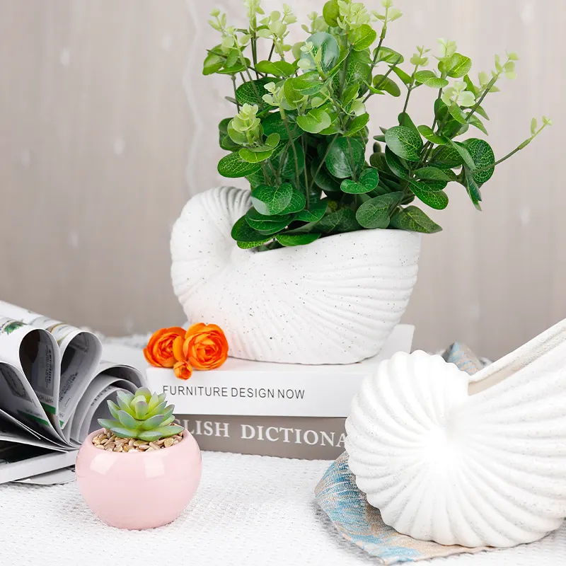 Redeco-Maceta de concha blanca, maceta de cerámica esmerilada para jardín, decoración del hogar