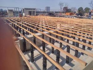 Système de piédestal de pavage extérieur Taurus, supports de dalles de pavage réglables pour les projets de <span class=keywords><strong>terrasse</strong></span>, de passerelle et de revêtement de sol - Product Image 5