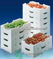 Construction thermique EPS ICF Blocs Isolation Structures commerciales Icf Foam Blocs Icf Coffrages en béton isolés