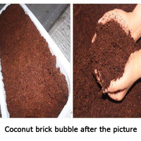 Tanah Nutrisi Sabut Kelapa Blok Cocopeat Substrat Bunga Sayuran Ramah Lingkungan Tanpa Telur Rendah Garam Mrs.Zebra 20x10x5cm 10%