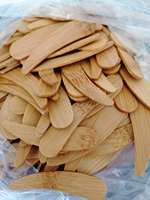 Mini bol de maquillage en bambou naturel, nouveau design, pour cosmétiques, cuillère, spatule, ensemble de brosses avec sac en coton, livraison gratuite