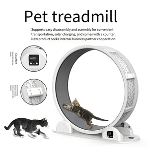 Eco-Friendly Silent Roller High Fiber Board Exercise Wheel Modern <strong>Fitness</strong> Cat Treadmill for Sports Climbing <strong>Pet</strong> Cat Toy for Dogs - Product Image 2