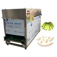 Machine à peler les bananes vertes / Banane verte / Peleuse de bananes vertes - Prix d'usine