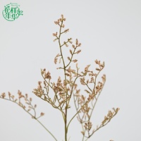 Bouquet de fleurs artificielles Limonium Caspia Fraîcheur Bohème 75 cm pour créations DIY, fabrication de couronnes, décoration de table intérieure pour mariage minimaliste