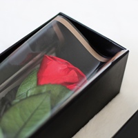 Lovebay Boîte cadeau avec une seule rose à tige, fleur au toucher réel, rose éternelle à longue tige, rose préservée pour toujours avec une tige