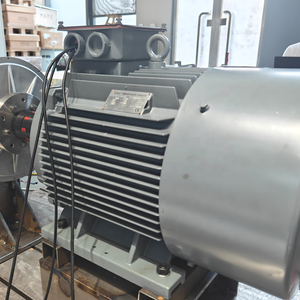 Moteur à aimants permanents horizontal (PMG) à aimants en terres rares de 100 kW, 1500 tr/min, pour l'alimentation électrique hors réseau dans les zones éloignées - Product Image 5