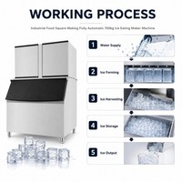 Machine industrielle automatique chinoise d'occasion pour la fabrication de glaçons carrés et en pépites pour l'extérieur, à vendre