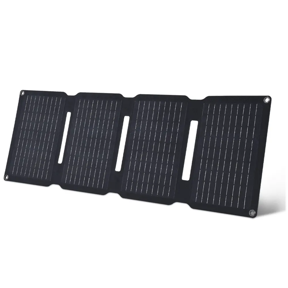 Heißer Verkauf kleiner 30w 35w 45w 50w 80W Mono Solar panel ganz schwarz PV-Modul