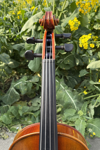 Violon antique artisanal italien Sinomusik, plaqué à la main, prêt à jouer en concert - Product Image 5