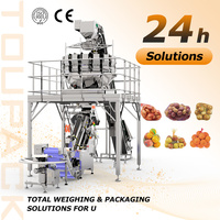 Machine d'emballage automatique TOUPACK pour sacs en filet de légumes, équipement de scellage et de remplissage de sacs en filet pour l'emballage alimentaire