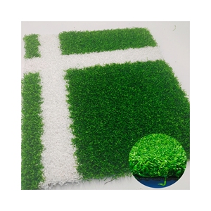 Logo personalizzato ad alta densità colorato erba sintetica palestra erba sintetica/bilance Fitness e slitte - Product Image 1