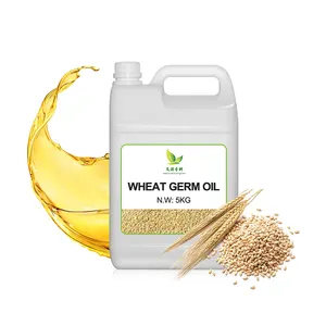 100% fornitura di fabbrica di olio di germe di grano organico vettore vendita diretta labbra di qualità Premium grande capacità essenza pura capelli Top