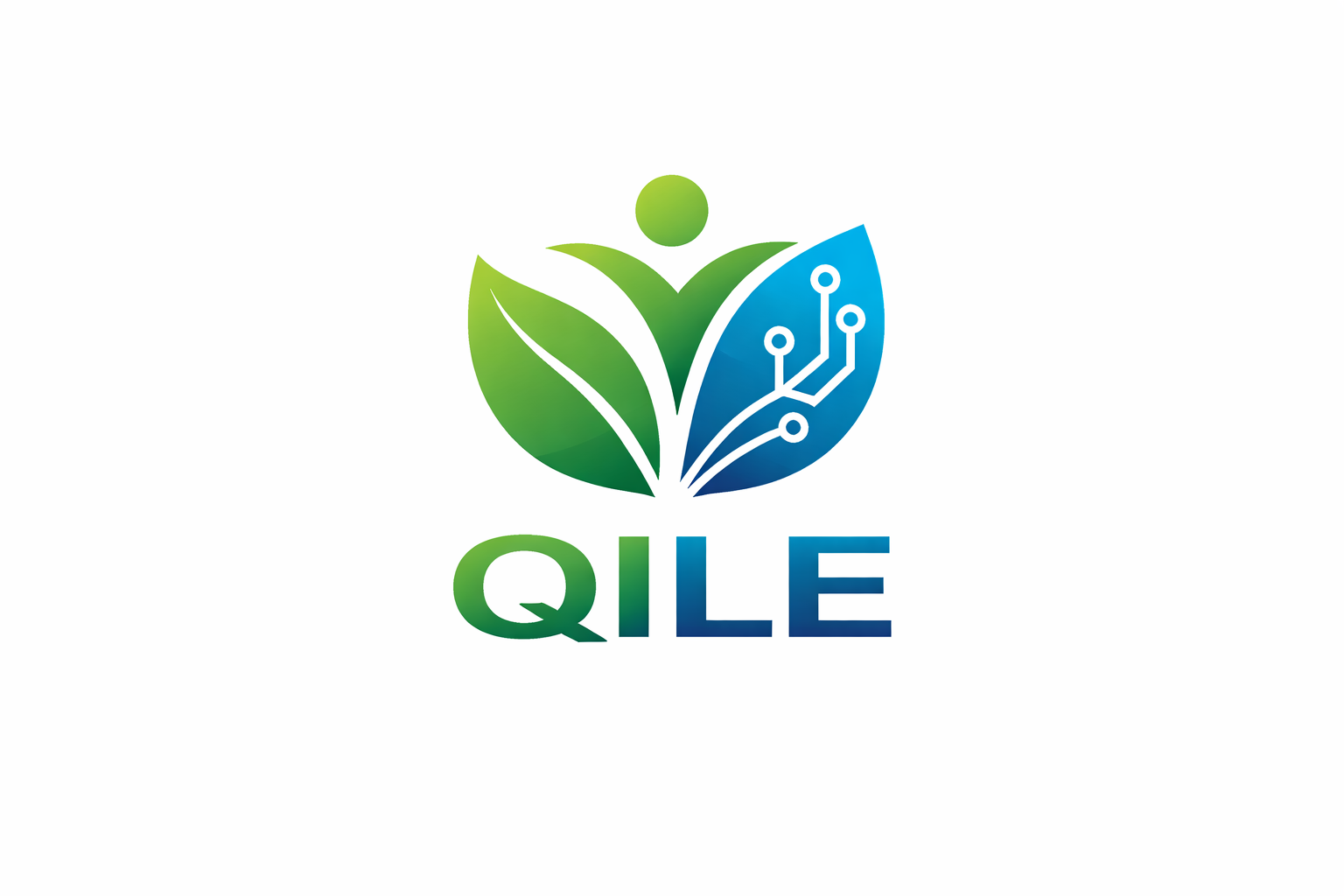 Shenzhen Qile Technology Co., Ltd. logo