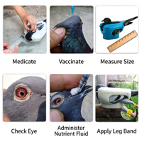 Dispositif d'alimentation pour pigeons de course, outil de fixation pour pigeons blancs, aide à l'injection de médicaments