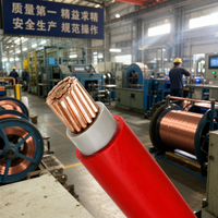 BVV Elektrokabel aus Chinesischer Produktion, 1-adrig 2,5mm 4mm 6mm 10mm 16mm 25 PVC-Kupferkabel für Hausverkabelung 300/500V