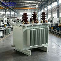 SinoShine 1600KVA Üç Fazlı Yağlı Tip Güç Trafosu 20KV/0.4KV S20 Bakır Sargılı Yüksek Verimli Tamamen Sızdırmaz