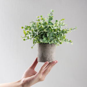 Plantas Artificiales de Eucalipto en Maceta, Pequeñas Plantas Verdes de Eucalipto de Plástico, Plantas Auxiliares en Macetas, Plantas Artificiales para Decoración - Product Image 3