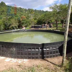 Geomembrana <span class=keywords><strong>de</strong></span> HDPE para <span class=keywords><strong>lagunas</strong></span> <span class=keywords><strong>de</strong></span> <span class=keywords><strong>aguas</strong></span> residuales, cubiertas para estanques <span class=keywords><strong>de</strong></span> almacenamiento - Product Image 2