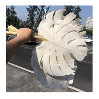 Nouvelle feuille de monstera naturelle de haute qualité pour la décoration intérieure