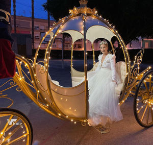 Nouvelle calèche de mariage citrouille Cendrillon à vendre, calèche de décoration de Noël, calèche victorienne pour balades touristiques - Product Image 2