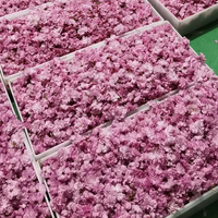 Thé aux fleurs de cerisier et roses 500g/sac, bourgeons de sakura roses entiers faits à la main pour la décoration, la pâtisserie, le bain, les bougies, pack personnalisé, 0 sel