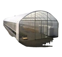 Kit complet de serre de culture tunnel commerciale, serre tunnel pour tomates, serre agricole en film plastique monopente en PE