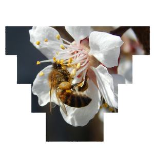 Pantalla LED de Vídeo Publicitario, Pantalla Digital de Alquiler para Montaje en Pared, Resolución 4K, IP65 Impermeable, para Señalización Exterior - Product Image 1