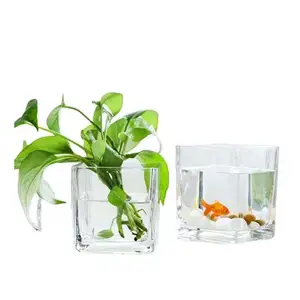Индивидуальная простая комнатная декоративная квадратная стеклянная чашка для суккулентного растения кубик цветок стеклянная раковина прозрачная стеклянная ваза