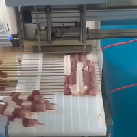 Machine à griller automatique à pression pneumatique pour brochettes, 4000-4500 brochettes/h, moteur pour kebab et barbecue